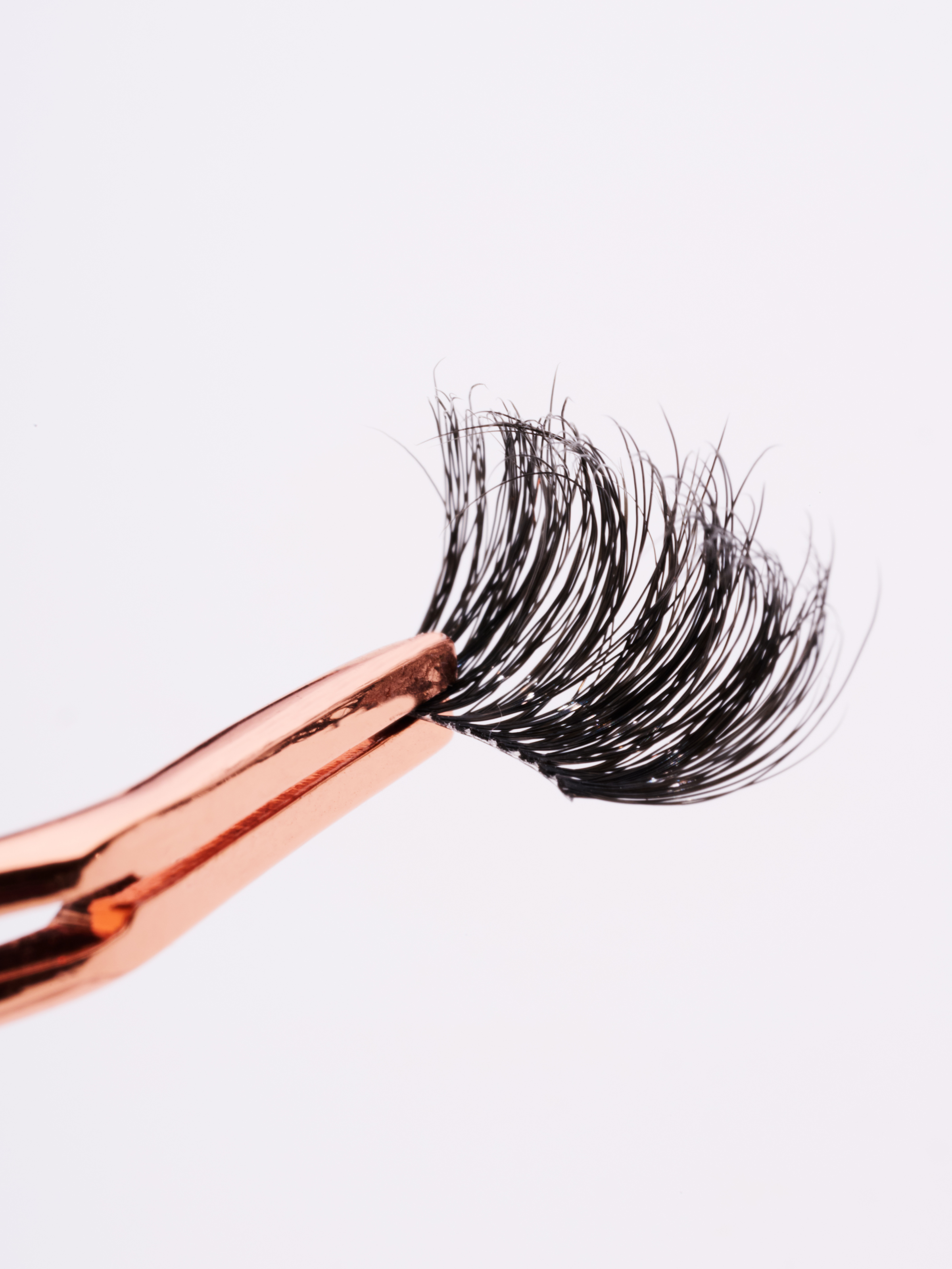 Fox Eyelash | Feral