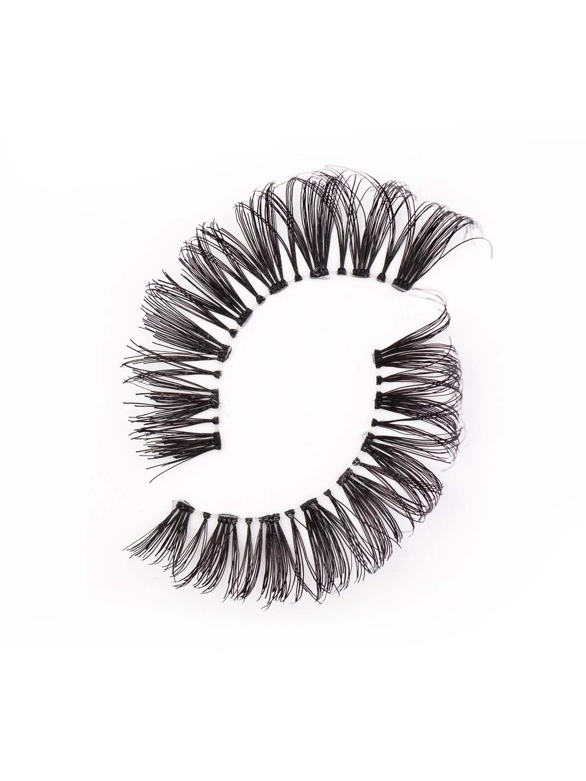 Alex Lashes
