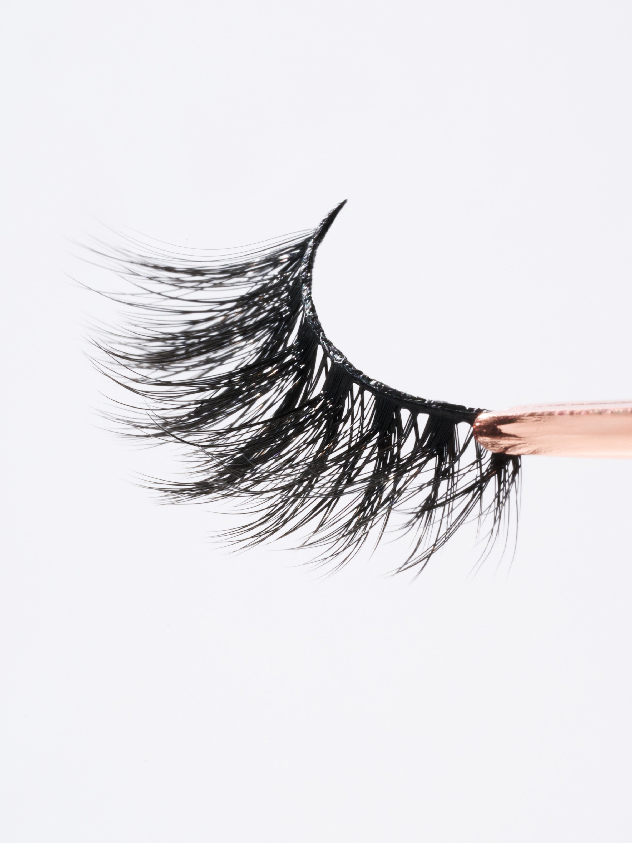 Bold Flare Lashes