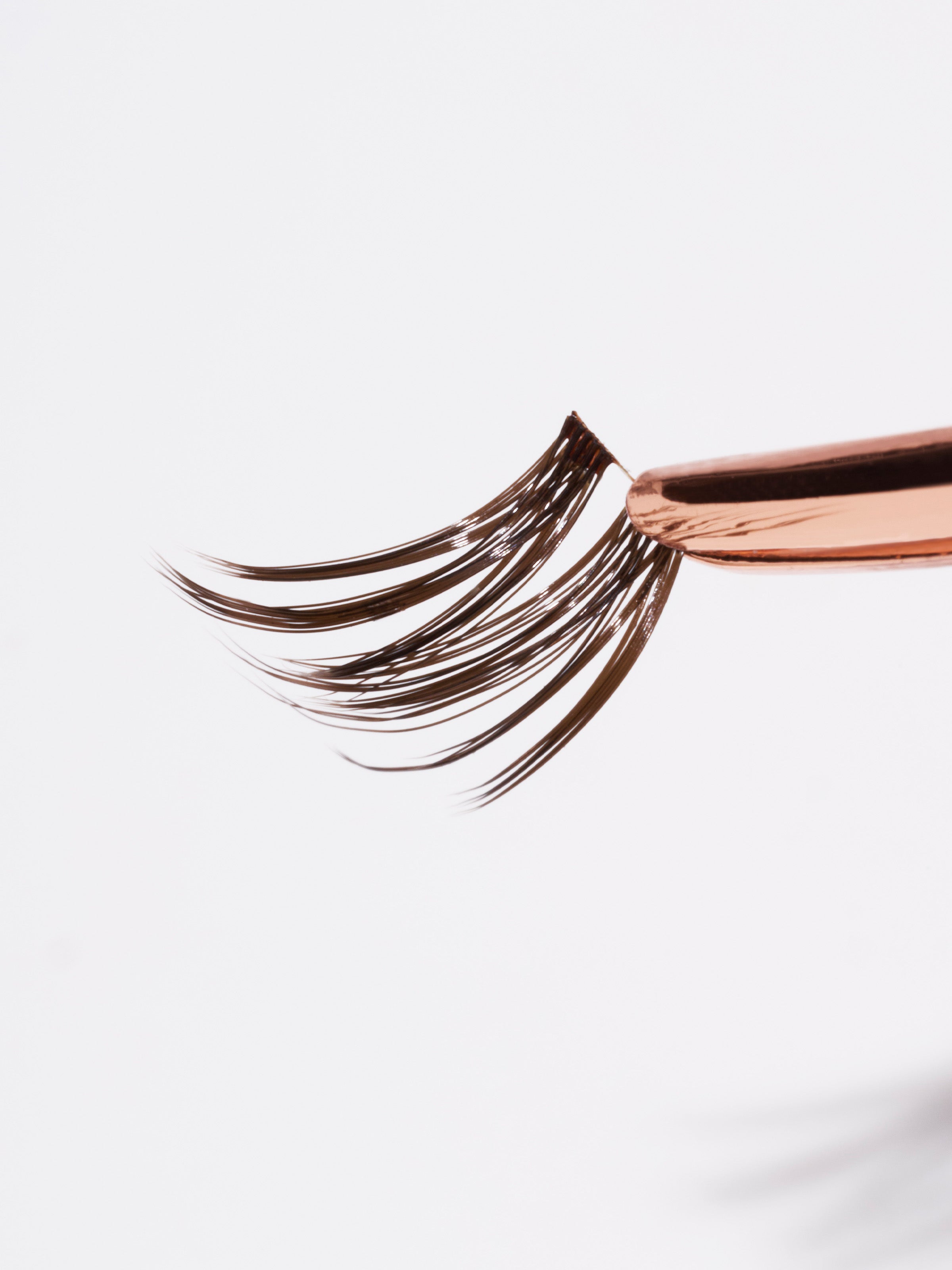Hidden Agenda Lashes | Brown