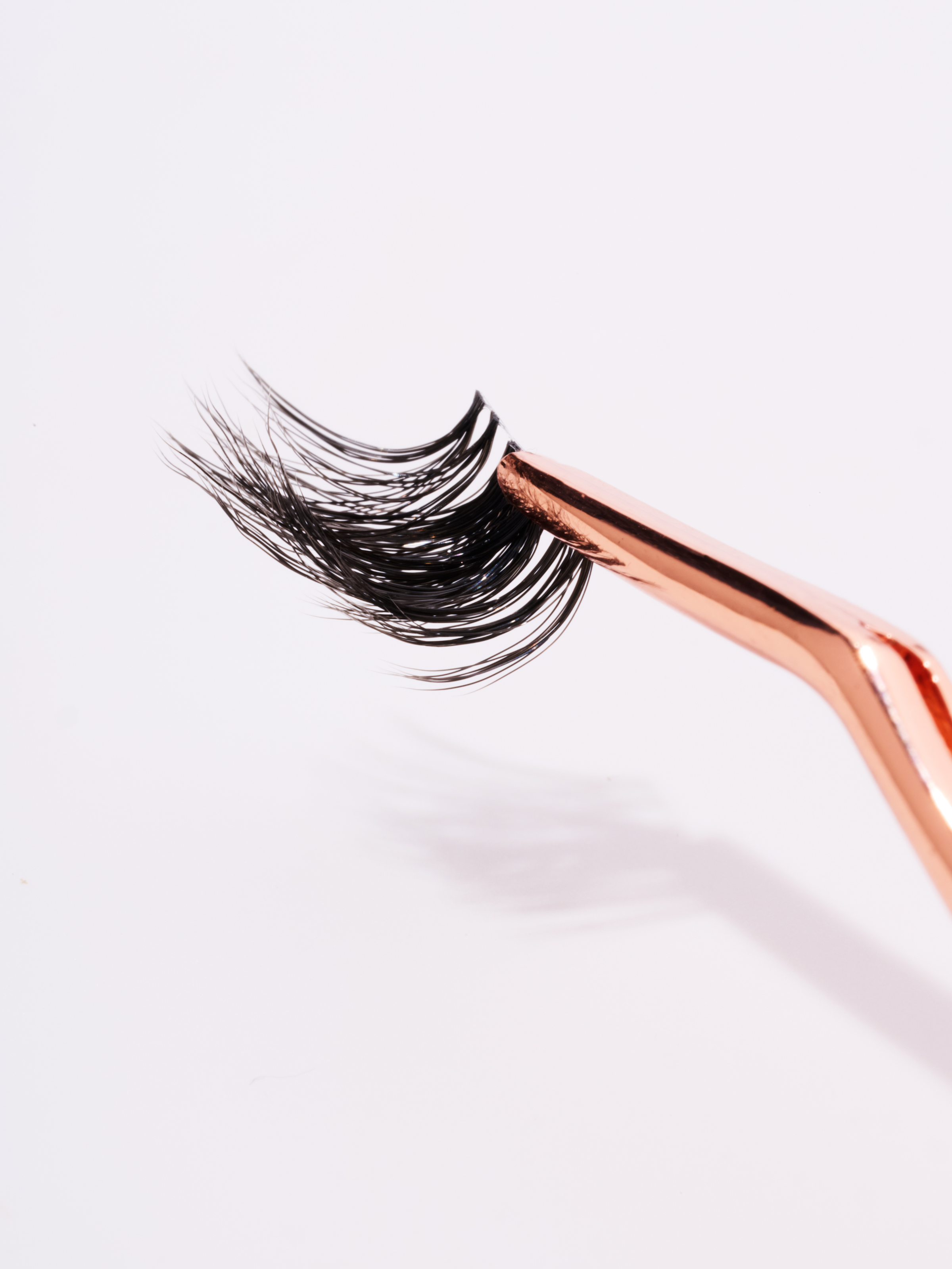 Fox Eyelash | Feline