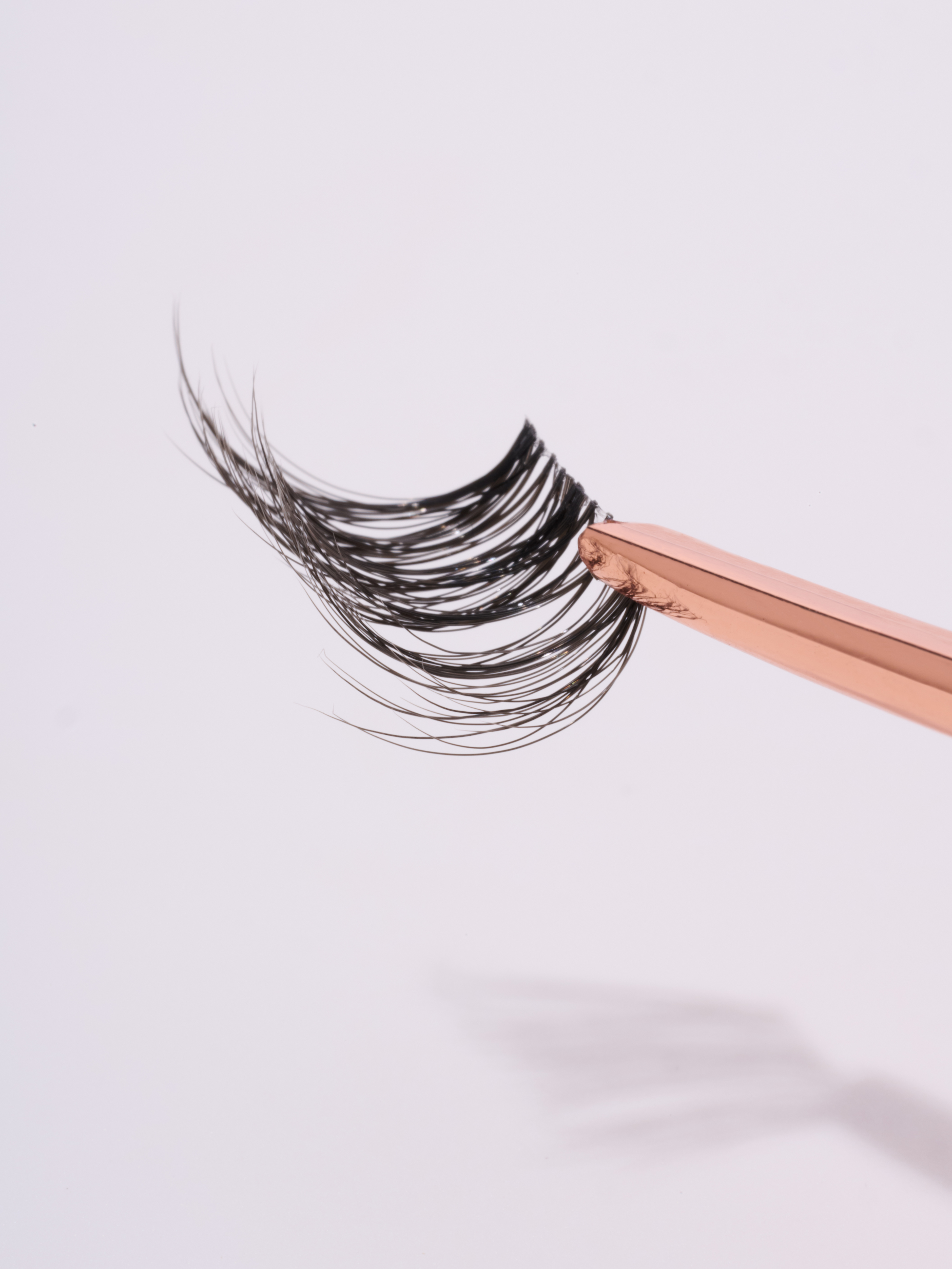 Fox Eyelash | Fierce