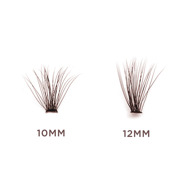 Size comparison of hidden agenda brown lashes in 10mm and 12mm