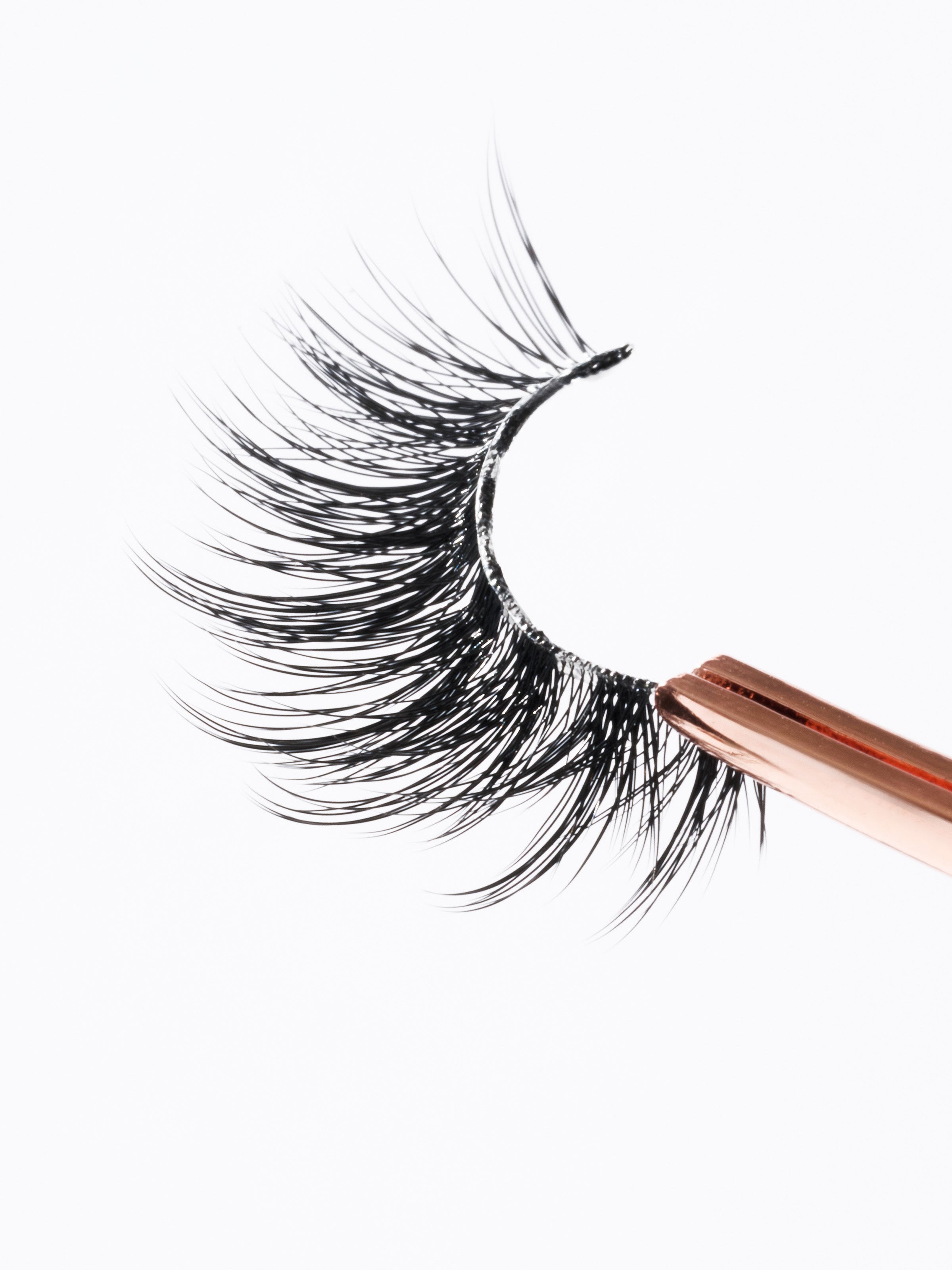 Kylie Lashes
