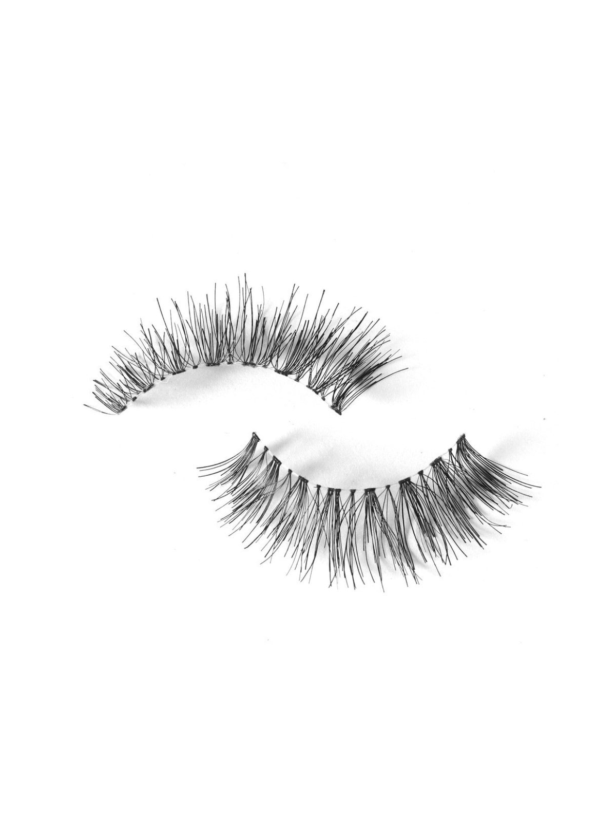 Sophia Lashes